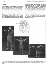 Джим Стоппани - Мышцы и сила. Большая энциклопедия (2010)