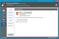 CCleaner Business / Professional Edition