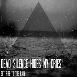 Dead Silence Hides My Cries - Дискография (2009-2013)