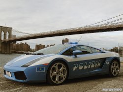 Полицейские машины мира картинки (2011)