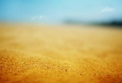 Лето: пальмы, море, песок, берег, радуга и не только (2009)