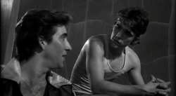 Бойцовая рыбка / Rumble Fish (1983)