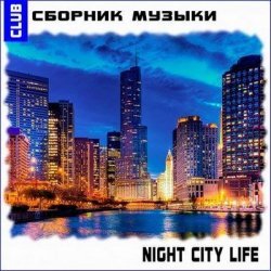 VA - Night City Life (2013)