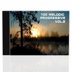 VA - 100 Melodic Progressive Vol.2 (2013)