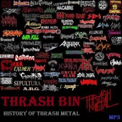 VA - Thrash Bin (History of Thrash Metal) (2013)