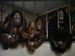 Обезьянник / Going Ape (1981)