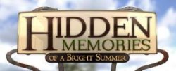 Hidden Memories of a Bright Summer