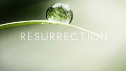 Воскрешение / Resurrection (1 сезон 2014)
