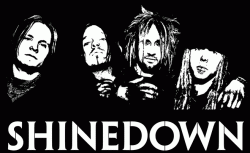 Shinedown - Дискография (2003-2012)