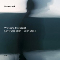 Wolfgang Muthspiel, Larry Grenadier & Brian Blade - Driftwood (2014)