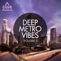 VA - Deep Metro Vibes Vol 5 (2014)