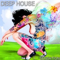 VA - Deep House Sensation (2014)