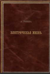 Альбер Робида - Электрическая жизнь (1894)