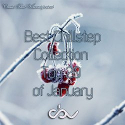 VA - Best Chillstep Collection [January 2015] (2015)