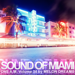 VA - Sound Of Miami: One A.M. Volume 34 (2015)