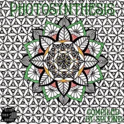 VA - Photosynthesis (2015)