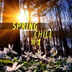 VA - Spring Chill #1 (2015)