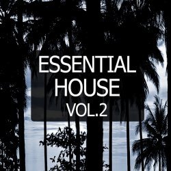 VA - Essential House, Vol. 2 (2015)