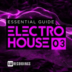 VA - Essential Guide: Electro House, Vol. 3 (2015)