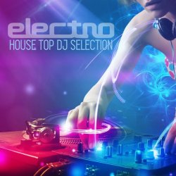 VA - Electro House Top DJ Selection (2015)