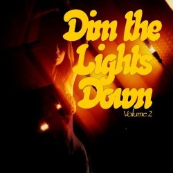 VA - Dim The Lights Down Vol 2 (Intimate Hours) (2015)
