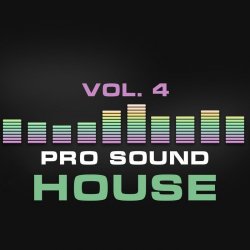 VA - Pro Sound: House, Vol. 4 (2015)