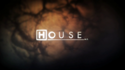 Доктор Хаус / House M.D. (8 сезон 2011)