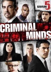 Мыслить как преступник / Criminal Minds (5 сезон 2010)