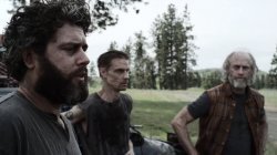 Нация Z / Z Nation (1 сезон 2014)