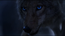 Волчонок / Оборотень / Teen Wolf (4 сезон 2014)