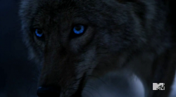 Волчонок / Teen Wolf (5 сезон 2015)