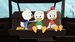 Утиные истории / DuckTales (1 сезон 2017)